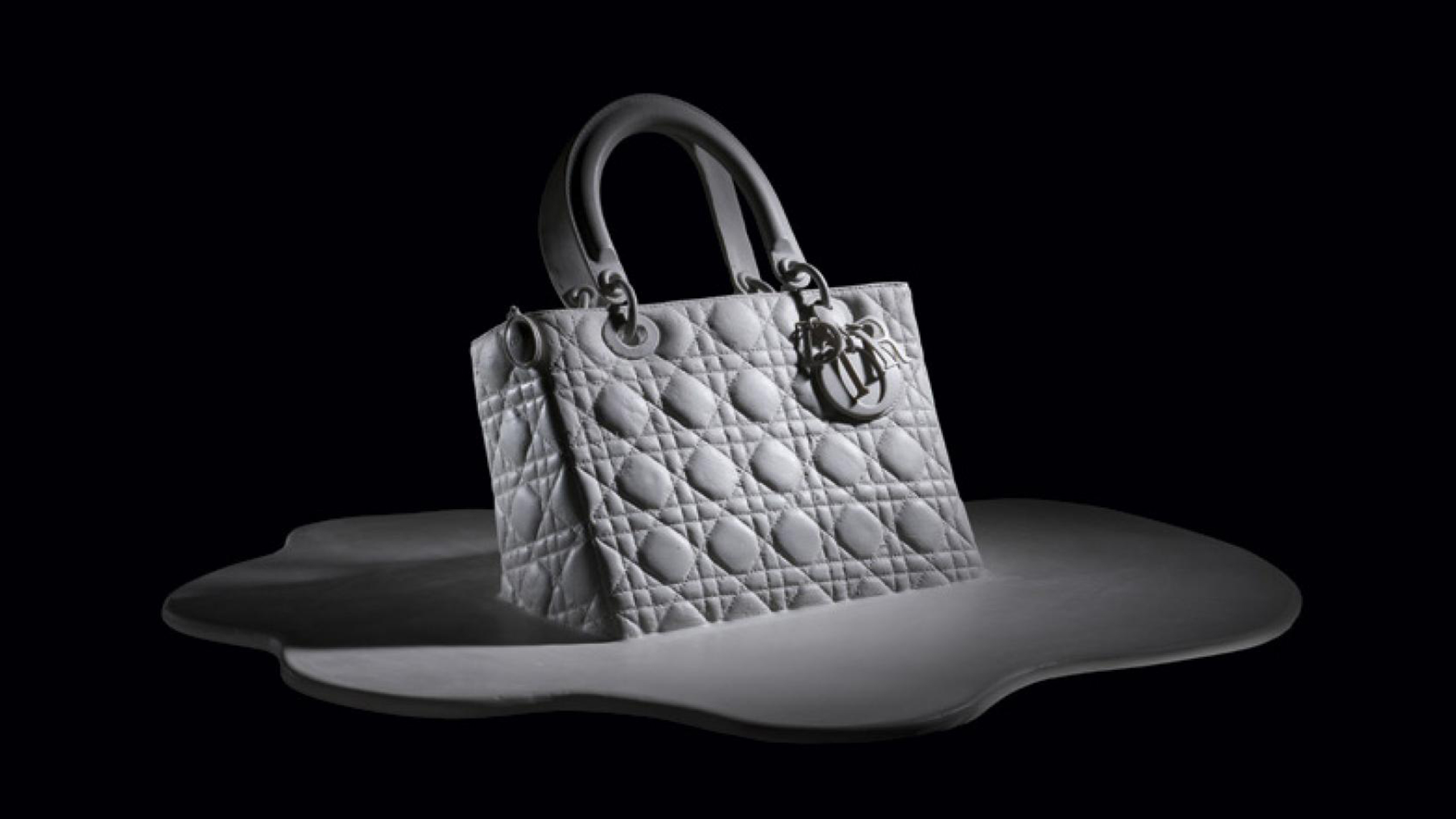 The Lady Dior As Seen By is a true marriage of art and fashion  The  Fashionable Truth